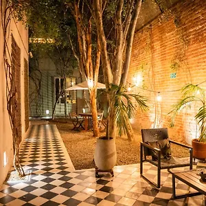 Casa Charlotte - Alma Hotel Santa Marta (Magdalena)